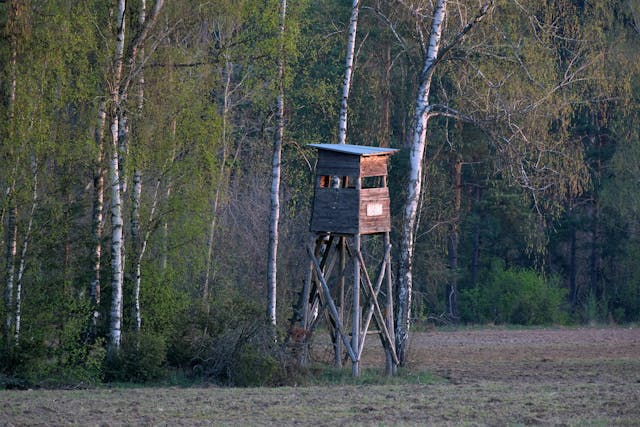 deer stand